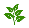 leaf-logo-